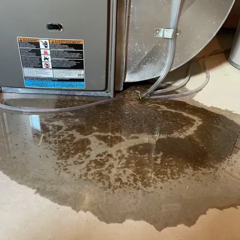 Appliance Leak Cleanup in Longtown, OK